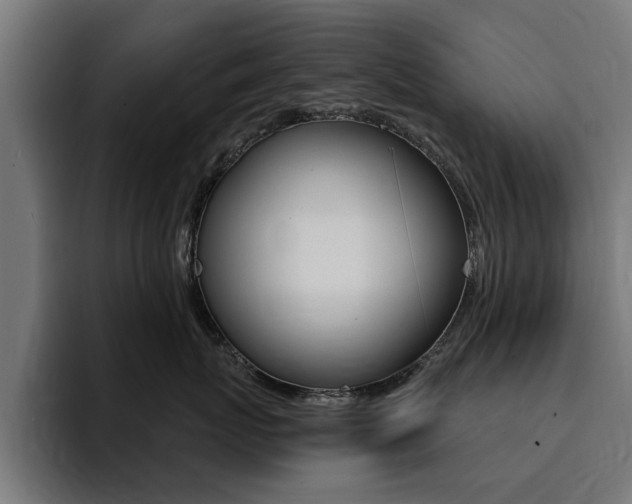 X0000094430767200711081019