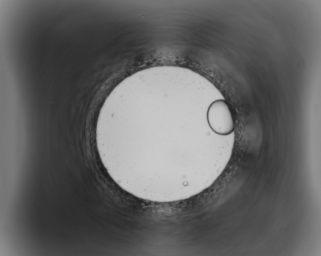 X0000094430769200711081018