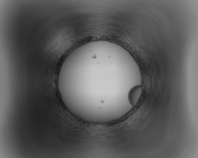 X0000094430770200711081018
