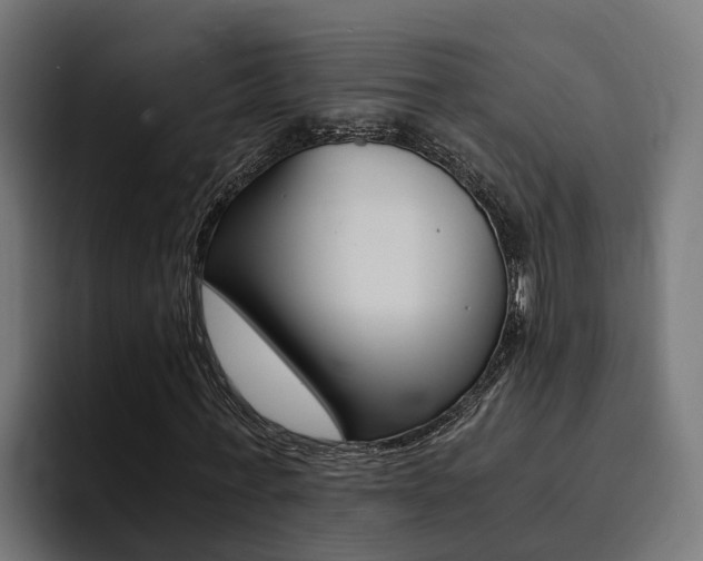 X0000094430771200711081018