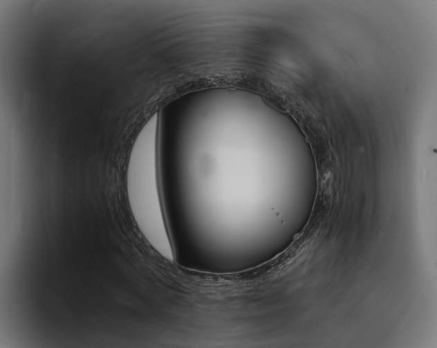 X0000094430772200711081018