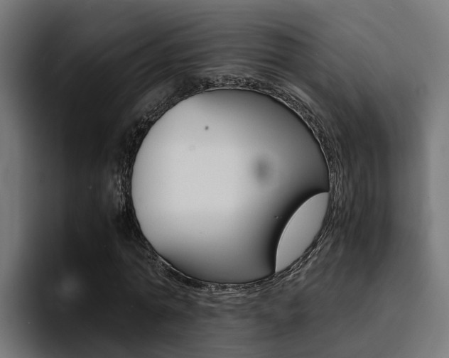 X0000094430774200711081018