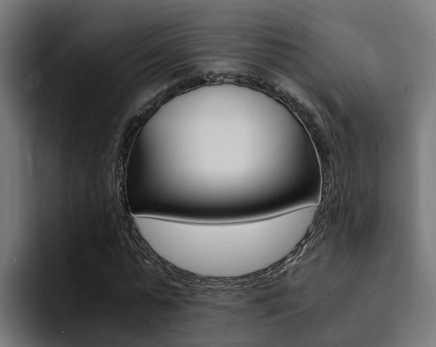 X0000094430775200711081018