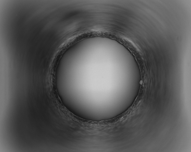 X0000094430776200711081018