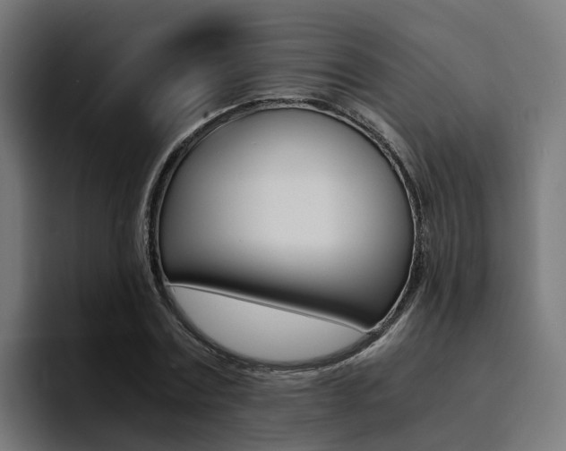 X0000094430779200711081018