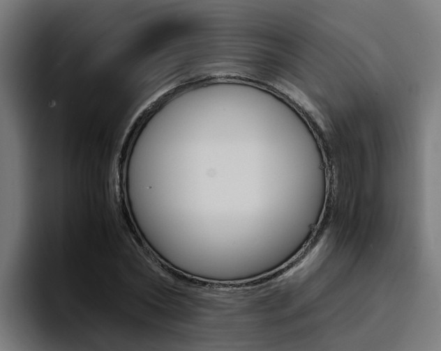 X0000094430782200711081018