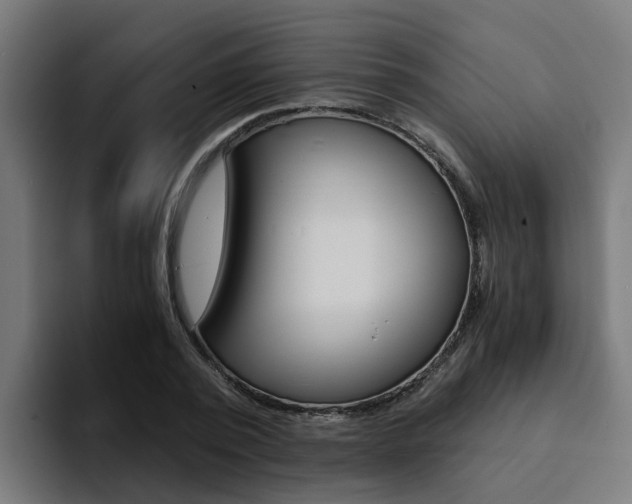 X0000094430784200711081018