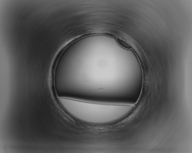 X0000094430787200711081018