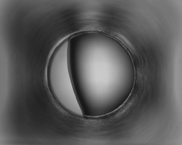 X0000094430788200711081018