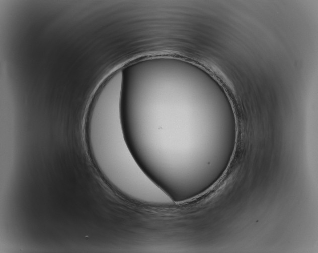 X0000094430789200711081018