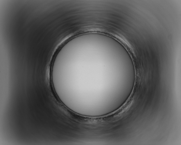 X0000094430790200711081018