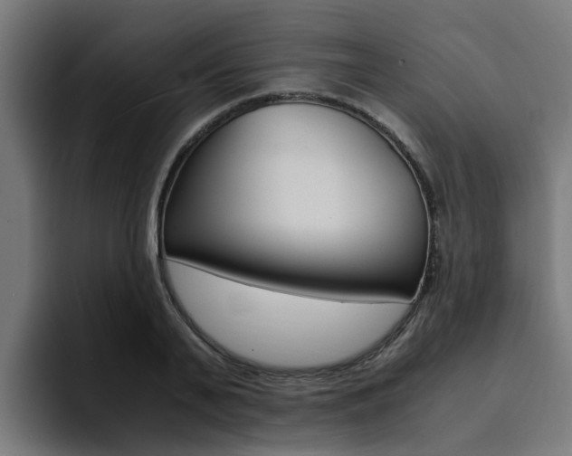 X0000094430791200711081018
