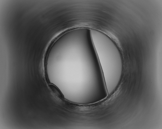 X0000094430792200711081018