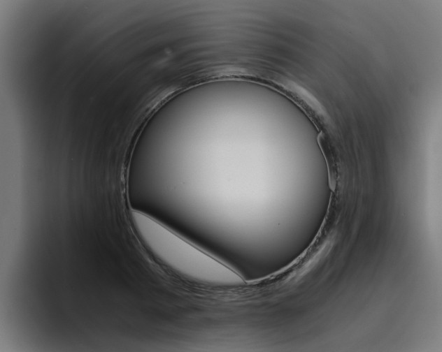 X0000094430793200711081018