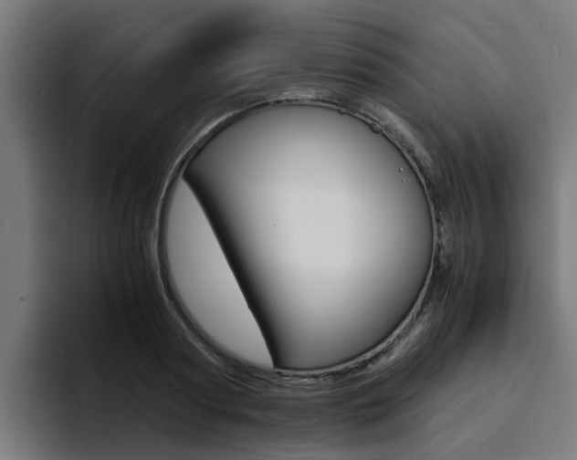 X0000094430794200711081018