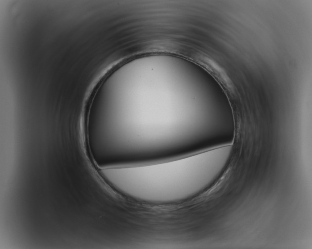 X0000094430796200711081018