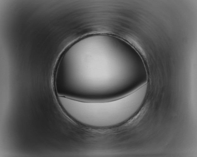 X0000094430797200711081018