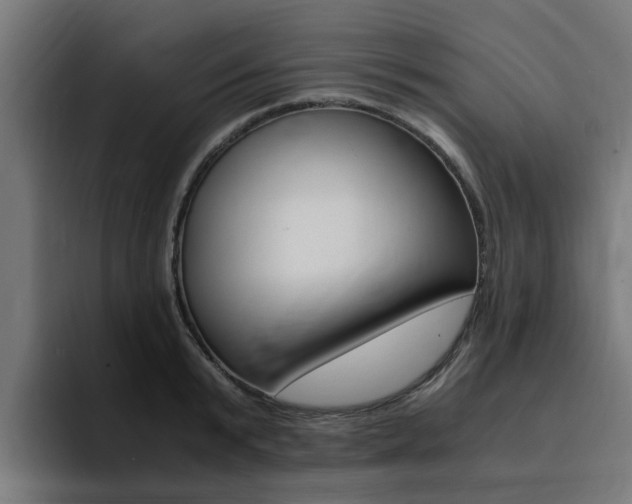 X0000094430799200711081018