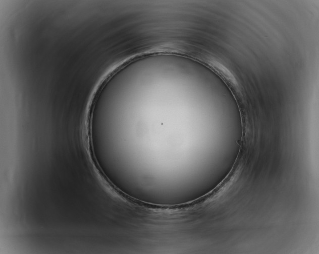 X0000094430800200711081018
