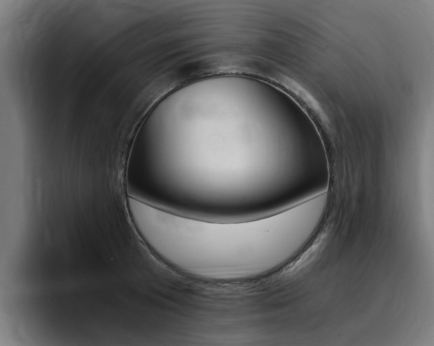 X0000094430801200711081018