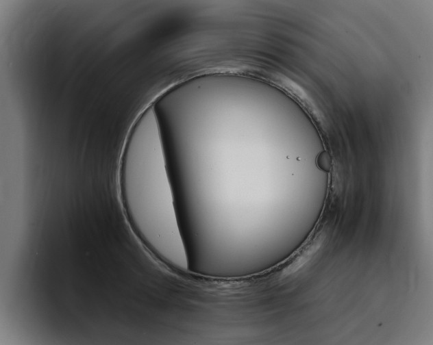 X0000094430802200711081018