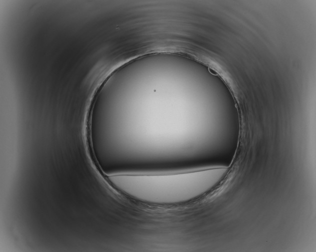 X0000094430803200711081018