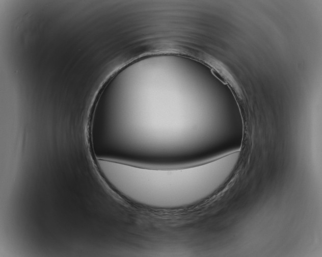 X0000094430805200711081018