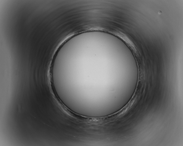 X0000094430806200711081018