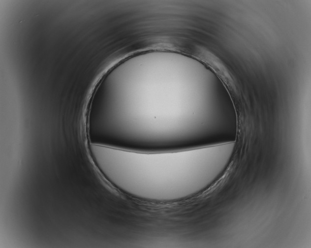 X0000094430808200711081018