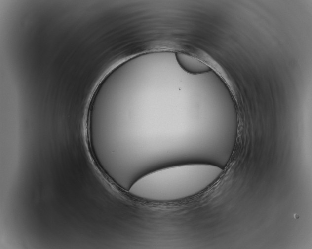 X0000094430811200711081018