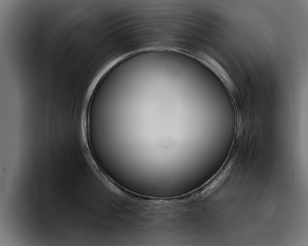 X0000094430812200711081018
