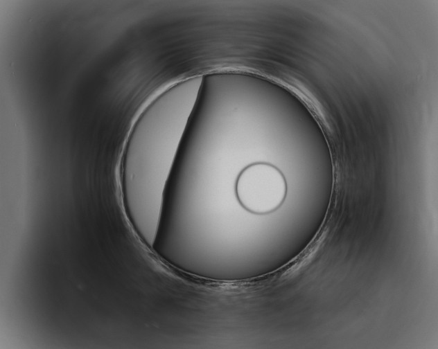 X0000094430814200711081018