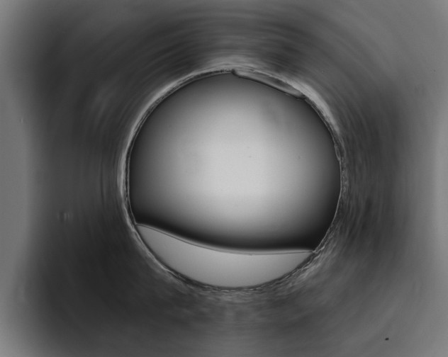 X0000094430815200711081018