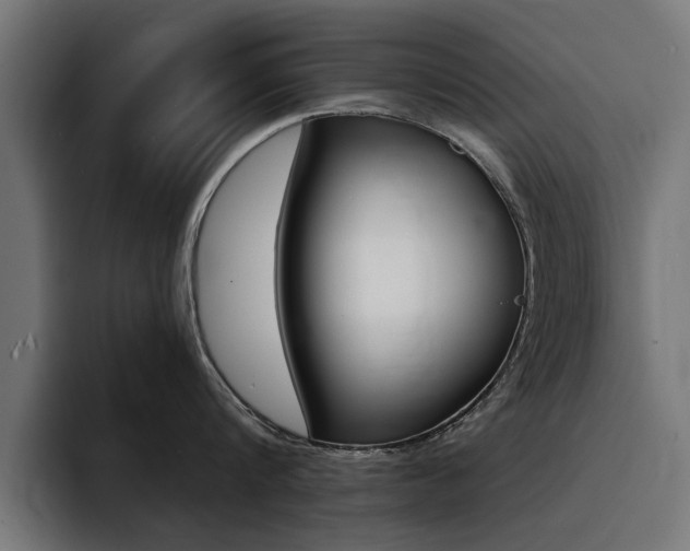 X0000094430816200711081018