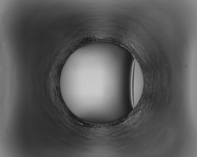 X0000094430817200711081017
