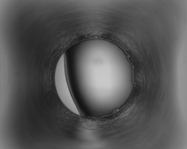 X0000094430818200711081017