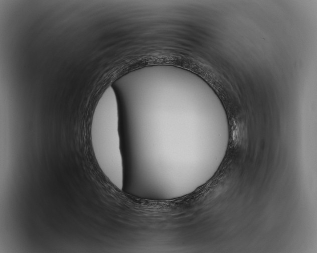 X0000094430819200711081017