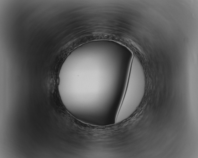 X0000094430821200711081017