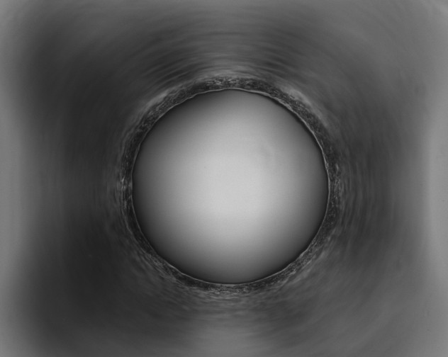 X0000094430822200711081017