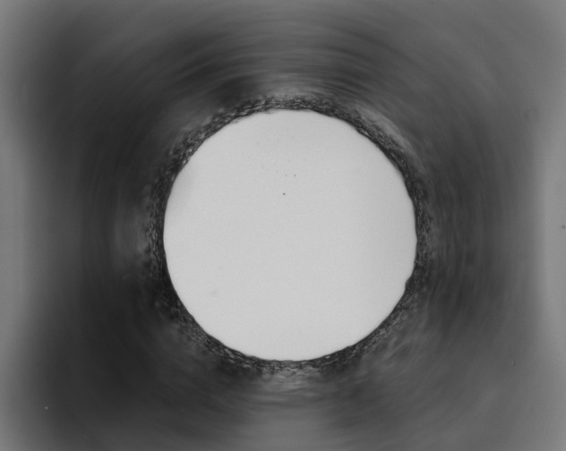 X0000094430824200711081017