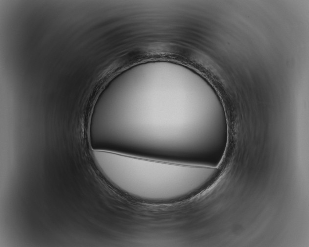 X0000094430825200711081017