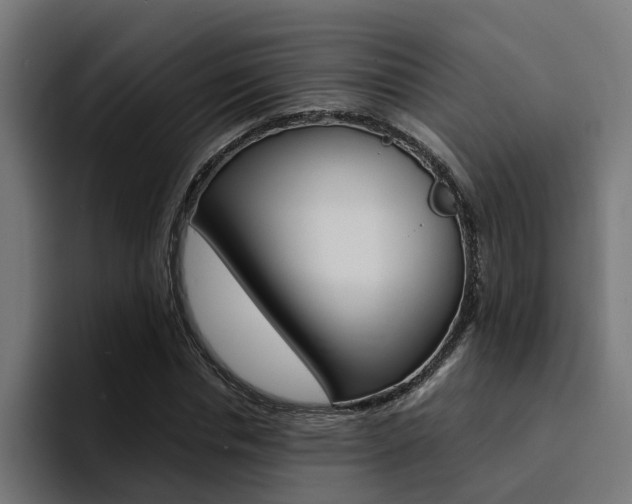 X0000094430826200711081017