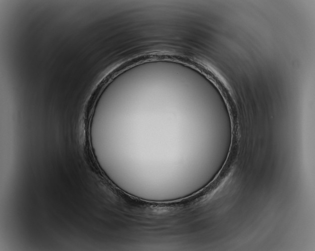 X0000094430829200711081017