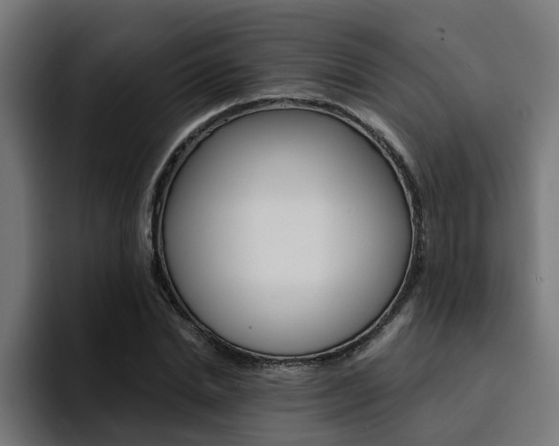 X0000094430830200711081017