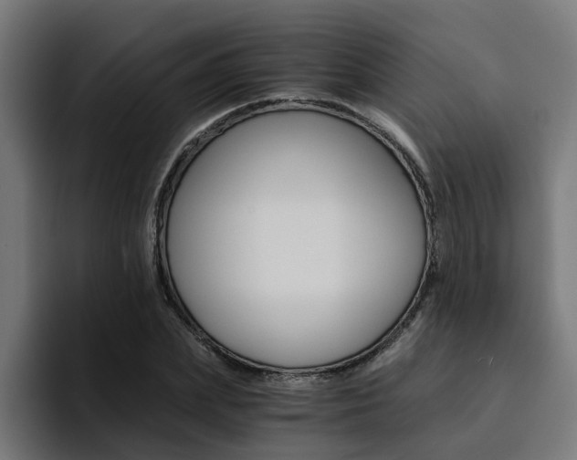 X0000094430831200711081017