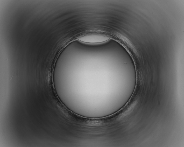 X0000094430833200711081017