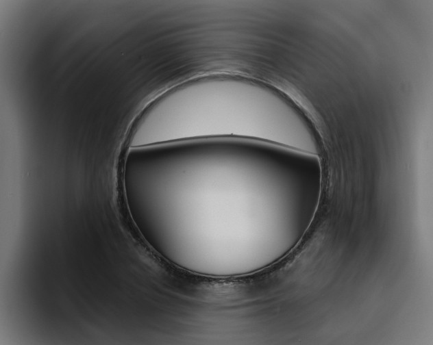 X0000094430834200711081017
