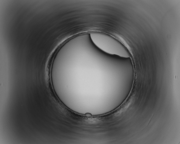 X0000094430835200711081017
