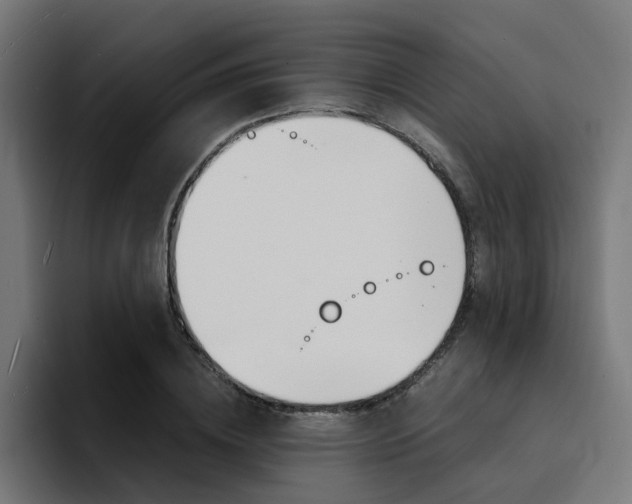 X0000094430836200711081017