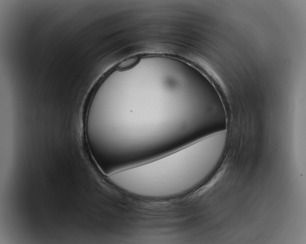 X0000094430837200711081017